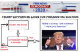 TrumpElectionGuide.png
