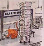 cat litter689509929060960357_n.jpg