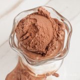 Eggless-Chocolate-Ice-Cream.jpg