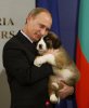 156606-russias-prime-minister-putin-hugs-a-bulgarian-shepherd-dog-after-recei.jpg