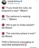 democrat-messaging.jpg