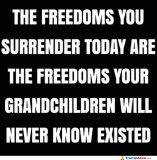 do-not-surrender-your-freedom.jpg
