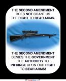 the-second-amendment.jpg