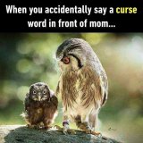 When-You-Accidentally-Say-A-Curse-Word-600x600.jpg