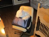SNOWBALL CURLED UP NEXT TO MY CHAIR.jpg