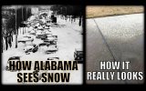 21-Things-Alabama-No-Time-For-15.jpg
