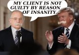 Trump Lawyer 10.jpg