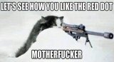 military-humor-lets-see-how-you-like-red-dot-cat-sniper-600x328.jpg