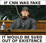 CNN Hulk Hogan.10.jpg