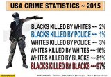 usa-crime-statistics-blacks-killed-by-blacks-blacks-killed-by-the-police.jpg