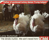pardoned turkey.png