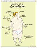 liberal_snowflake_anatomy_cartoon_by_conservatoons-dav05dg.jpg