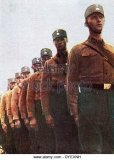 brownshirts-nazi-members-in-schlesswig-holstein-gernay-1933-dyexnh.jpg