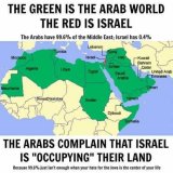 muslim vs Israeli lands.jpg