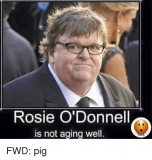 rosie-odonnell-is-not-aging-well-fwd-pig-9310739.png