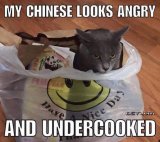 My-chinese-looks-angry---racist-meme.jpg