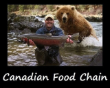 Canadian-Food-Chain.png