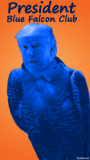 trumpbluefalcon-President.png