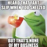 Heard-That-Fart-Slip-When-You-Sneezed-But-Thats-None-Of-My-Business-Funny-Fart-Meme-Image.jpg