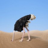 ostrich-head-sand-300x300.jpg