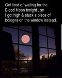 bologna moon_o.jpg