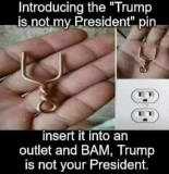 introducing-the-trump-is-not-my-president-pin-insert-it-39143358.png