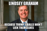 lindsey-graham-because-trumps-balls-wont-lick-themselves-makeameme-org-61088348.png