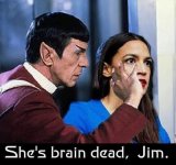 aoc spock.jpg